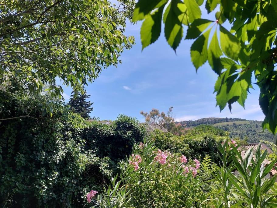 Vue De Rennes-Le-Chateau Couiza Buitenkant foto